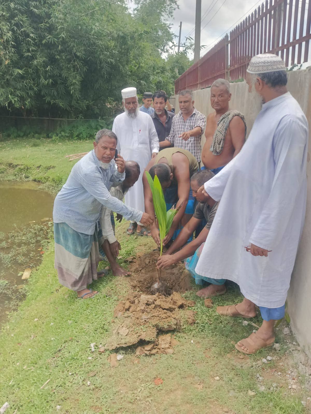 বৃক্ষ রোপণ