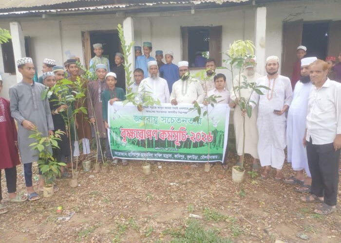 বৃক্ষ রোপণ বৃক্ষ রোপণ