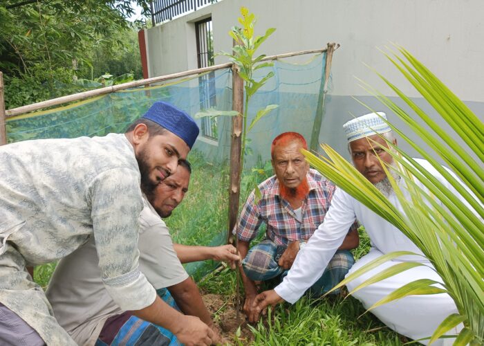 বৃক্ষ রোপণ বৃক্ষ রোপণ